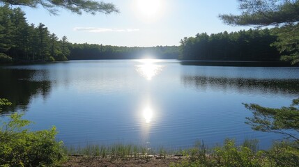 Serene Lake Reflections with Sunlight and Lush Green Forest Background