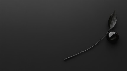 A single black cherry with a stem placed on a black background, leaving negative space on the right for text.