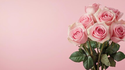Fototapeta premium Minimal rose concept. A bouquet of delicate pink roses against a soft pink background.