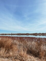 winter landscape