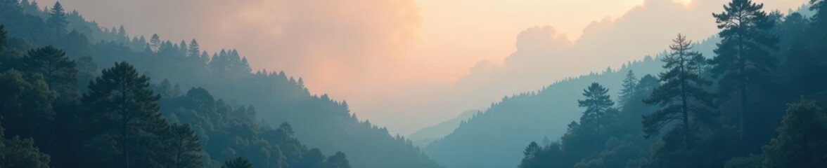 Fototapeta premium Gradient misty forest background with blurred trees, forest, gradient, background