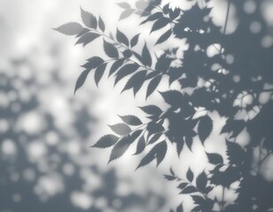 Fototapeta premium Shadows Sunlight Leaves, Plant Wall Concrete