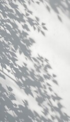 Shadows Sunlight Leaves, Plant Wall Concrete