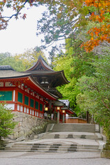 石上神宮・回廊・モミジ（奈良県・天理市）