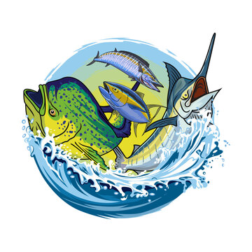 marlin sailfish tuna mahi mahi dorado wahoo fishing illustration logo vector image t shirt