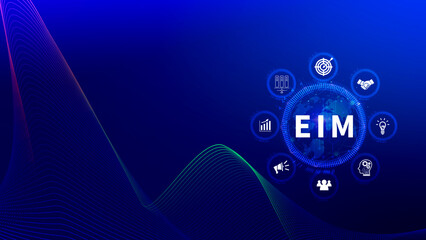 EIM Enterprise information management system, EIM Global Network with Analyzing Technological Data, Efficient Information Management, Network Connection.