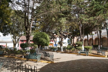 Park, trees,magic town, street, people, trees at san cristobal de las casas, chiapas