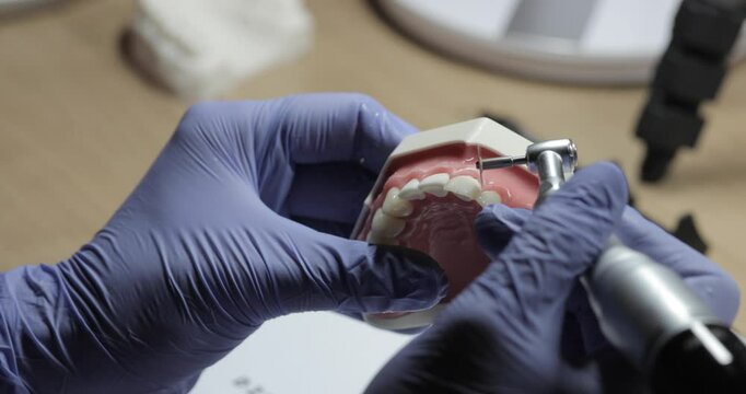 Close-up of a woman's hands in blue gloves working on a dental model, prosthetics, 4K