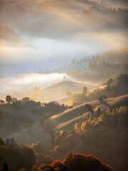 Golden sunlight illuminates a tranquil valley with rolling hills, lush trees, and soft mist, creating a peaceful and picturesque natural scene.