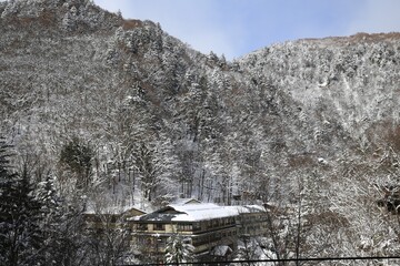 Fototapeta premium Snow-Covered Forested Mountains in Winter Sunshine, Nagano, Japan