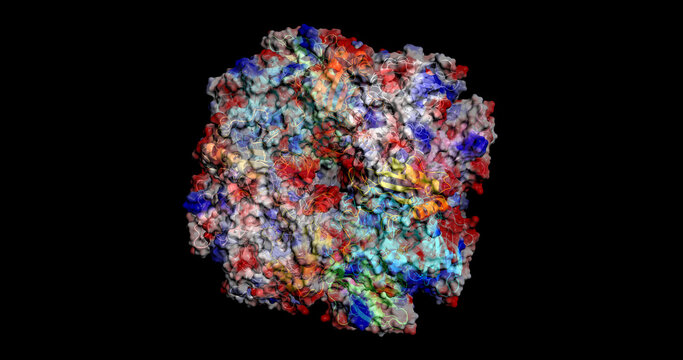  RuBisCO: The Engine of Photosynthesis, 3D Molecule Electrostatic Surface, 4K