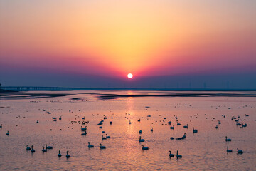 Naklejka premium Aerial photography of rural sunset river landscape
