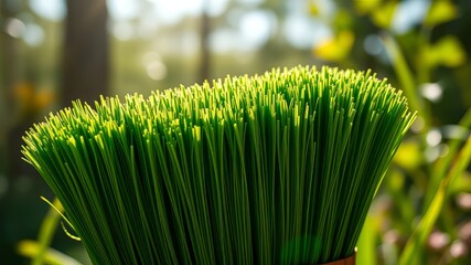 Close-up Green Bristle Outdoor Brush - Vibrant Nature Photography
