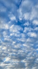 White clouds