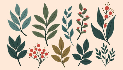 Botanical Illustration of Flowers and Leaves