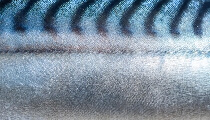 close-up of mackerel fish skin with shimmering silver and blue horizontal lines and fine scale texture
