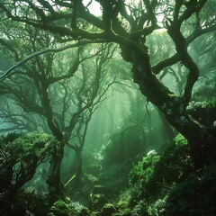 Solo Climber in Vibrant Forest with Sunlight Rays, Serene Forest Pathway at Dawn, Forest with Lush Green Undergrowth - Peaceful Woodland Landscape.

