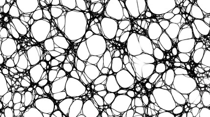 Abstract black web-like pattern on white background.
