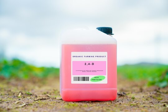 2,4-D