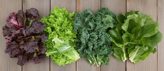 Assortment of Fresh Leafy Greens: Red Leaf Lettuce, Green Leaf Lettuce, Kale, and Romaine Lettuce