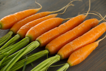 Freshly Harvested Organic Carrots with Green Tops on Wooden Surface