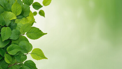Obraz premium A Beautiful Eco-Friendly Background Showcasing Green Leaves and Nature's Serenity