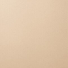 Fototapeta premium Recycle light beige paper texture. Paper background concept
