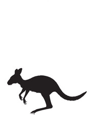 Kangaroo Silhouette Vector illustration 