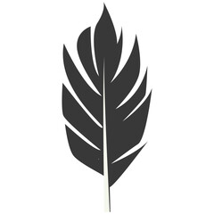 Obraz premium Black Silhouette of Curved Feather. Vector Illustration Design.