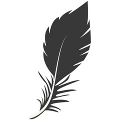 Obraz premium Black Silhouette of Curved Feather. Vector Illustration Design.