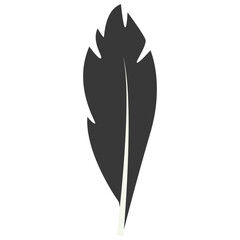 Black Silhouette of Curved Feather. Vector Illustration Design.
