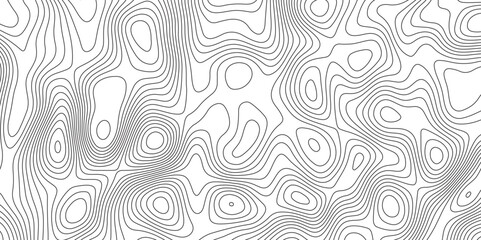 Abstract topographic contour map. Vector cartography illustration. Abstract lines background. Line topography map contour background concept of a conditional geography scheme and the terrain path.