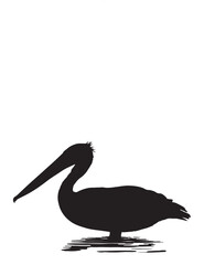 Fototapeta premium Pelican Silhouette Vector illustration