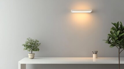 Minimal office setup with white desk, small plant, and a single overhead light fixture.