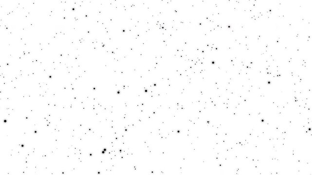 Black Particles matter animation microscopic solids or liquid droplets - Floating in the air in various sizes on a white background