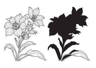 Blue Fountain Bush flower line art  vector on white background