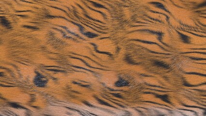 Tiger fur texture created by procedural geometric 3D rendered stripes and photorealistic hair materials.