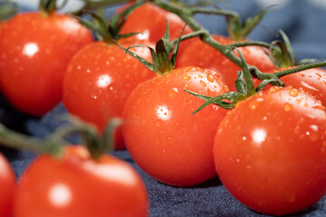 A group of bright, red cherry tomatoes with fresh stems attached, covered in dewdrops.