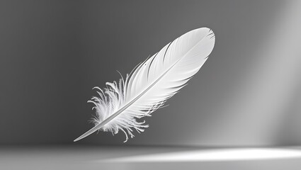 Obraz premium A single white feather floats gently against a gray background