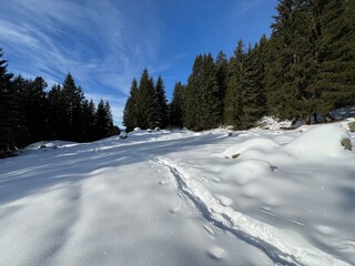 Wonderful winter hiking trails and traces in the fresh alpine snow cover of the Swiss Alps and over the tourist resort of Arosa - Canton of Grisons, Switzerland (Kanton Graubünden, Schweiz)