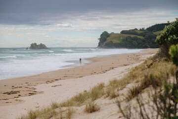 Cloudy day at the beach. Two surfers watch waves crash on the shore. Coastal scenery. OPOUTERE, COROMANDEL PENINSULA, NEW ZEALAND