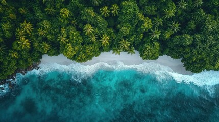 Aerial view of tropical beach, lush forest, turquoise ocean waves.