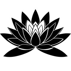 Water Lily vector illustration