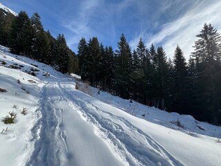 Fototapeta premium Wonderful winter hiking trails and traces in the fresh alpine snow cover of the Swiss Alps and over the tourist resort of Arosa - Canton of Grisons, Switzerland (Kanton Graubünden, Schweiz)