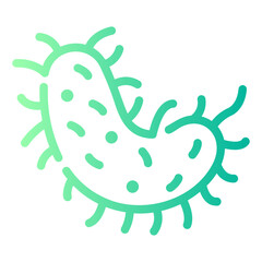 bacteria