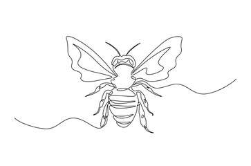 Honey bee continuous one line drawing. Honeybee insect single line art illustration. Editable vector.