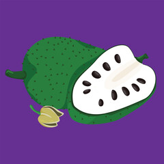 sirsak soursop fruit tropical exotic fresh fruit flat design