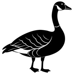 Canada Goose Silhouette vector illustration