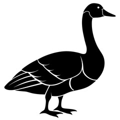 Canada Goose Silhouette vector illustration