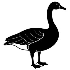 Canada Goose Silhouette vector illustration